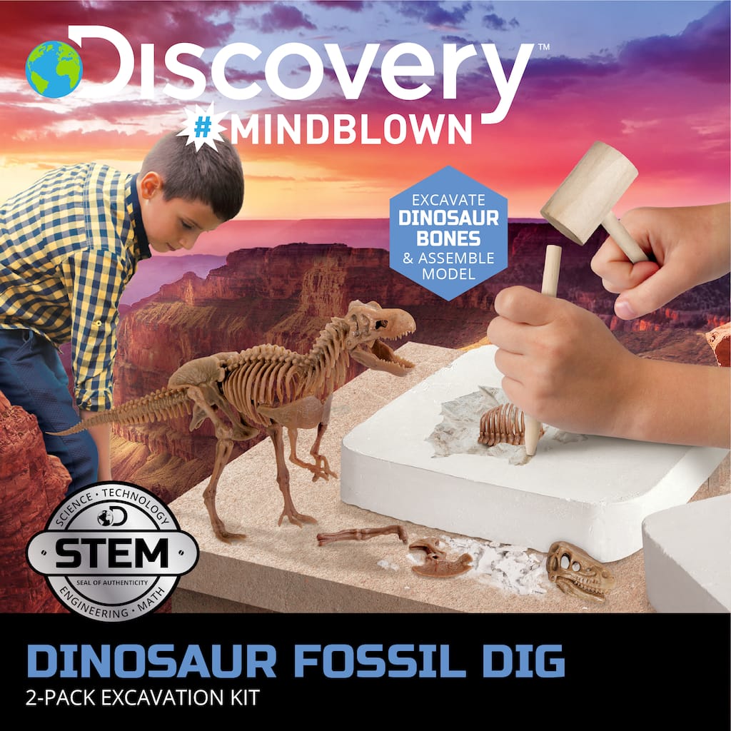 New Sealed Tyrannosaurus Rex Dinosaur Skull Excavation Kit Ages 6 & up